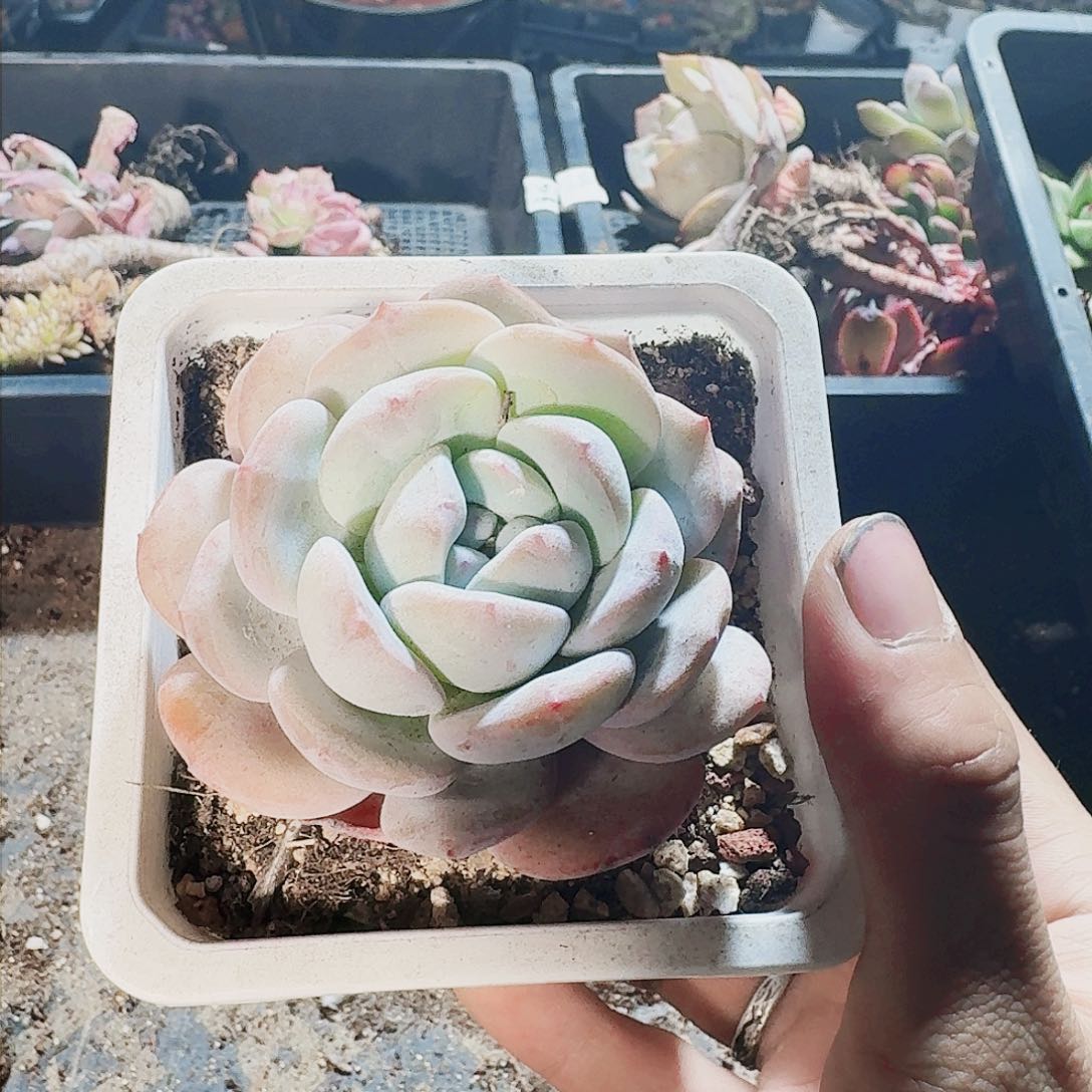 满20包邮零下拍保温箱