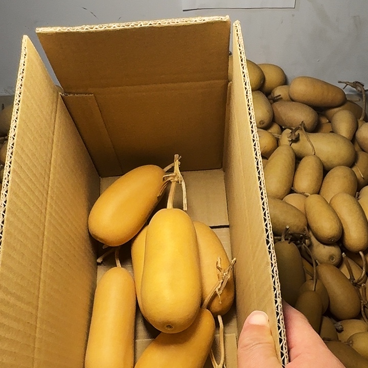 上****葫芦冬瓜专属链接