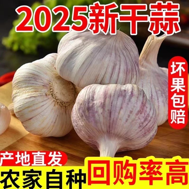 【2025年新干蒜】新晒大蒜头紫白皮大蒜头河南特产可种