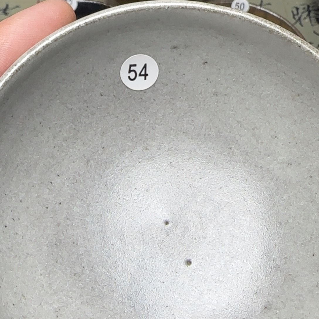 茶盏元旦特价包邮秒杀