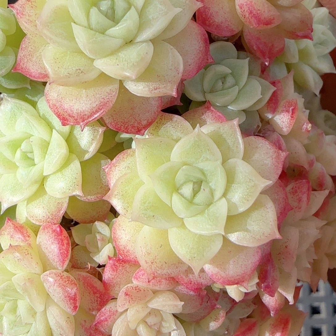 【闪购商品】0130-131（m1-377-2）