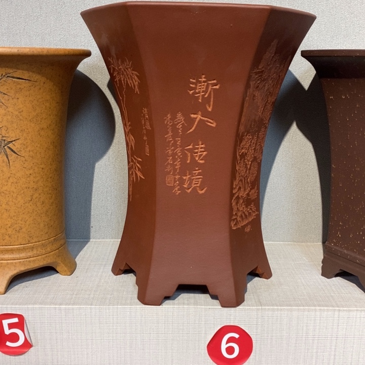 紫砂花盆张*林福利来啦