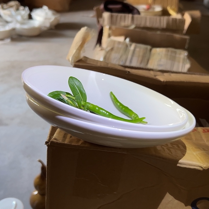 国营尾货骨瓷护盘一对口径19