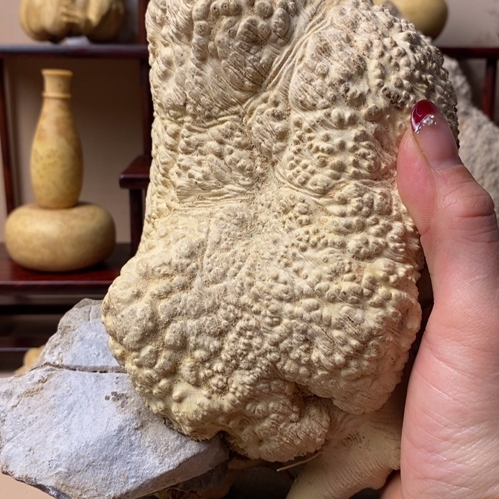 香榧木请****?黄杨木手把件