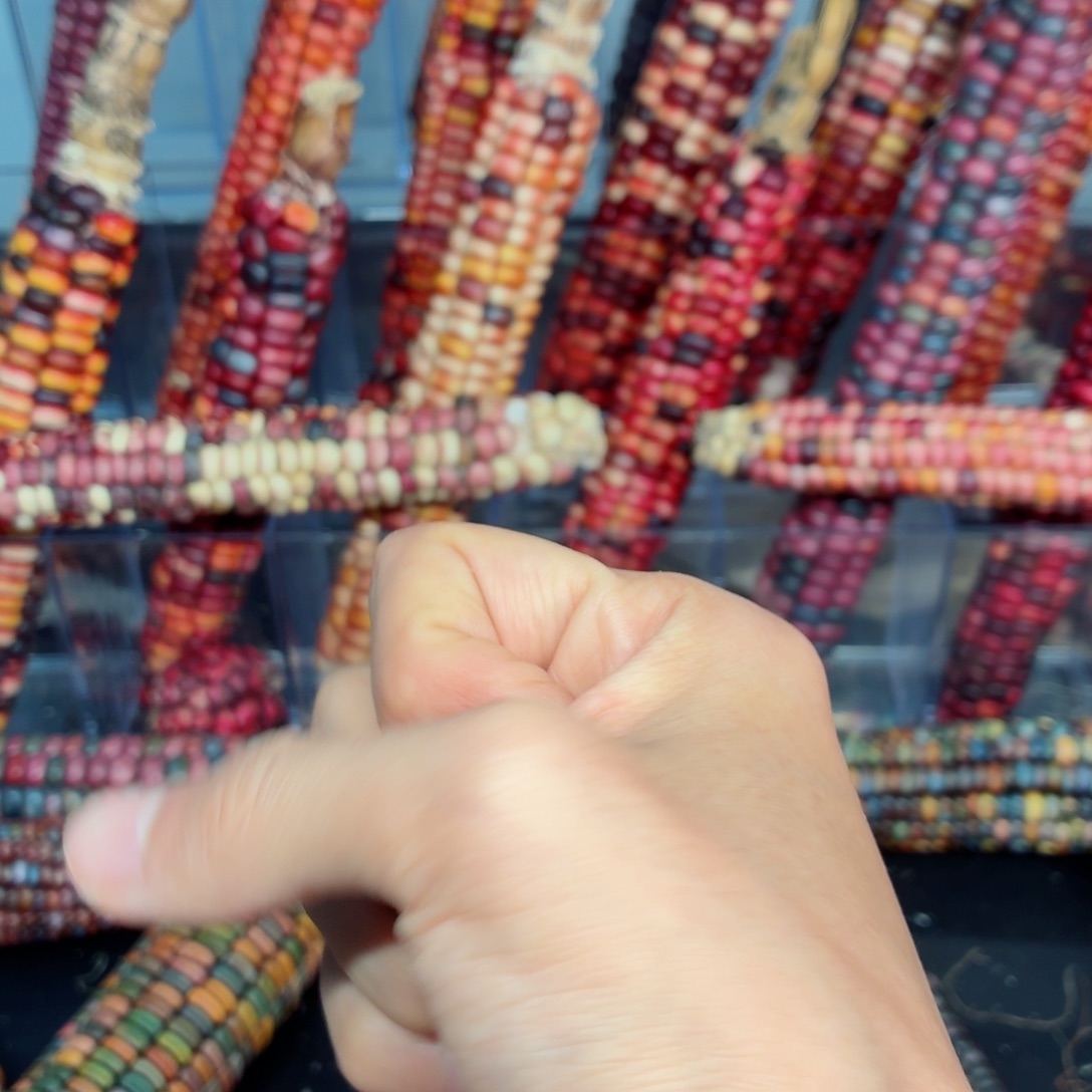 爱***2白玉菩提吊坠文玩精品文玩精品