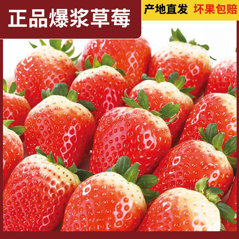 新鲜现摘八湖草莓顺丰京东包邮孕妇水果