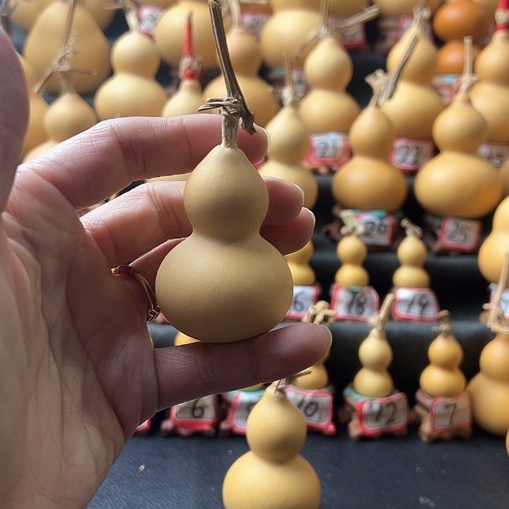 于*万天然葫芦葫芦葫芦葫芦