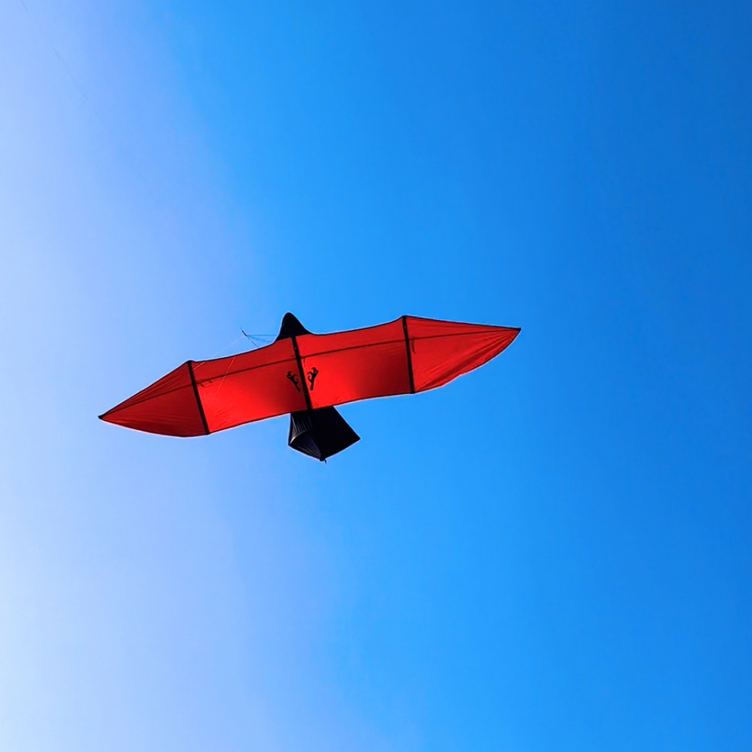 四米板鹰风筝老玩家必备544伞布碳杆大拉力 4米红翅544板