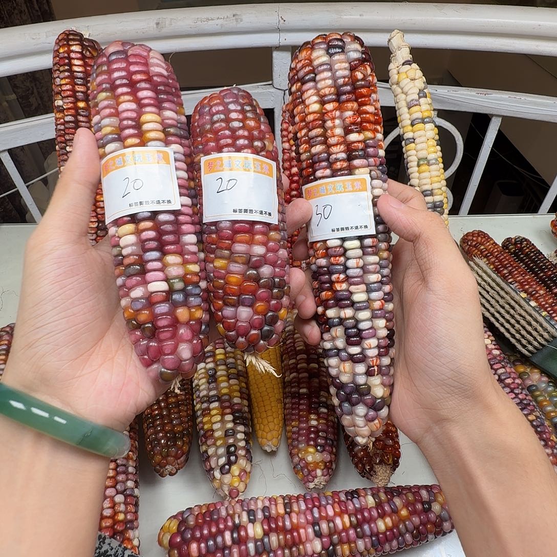 又***又大叶紫檀（黑酸枝木类）