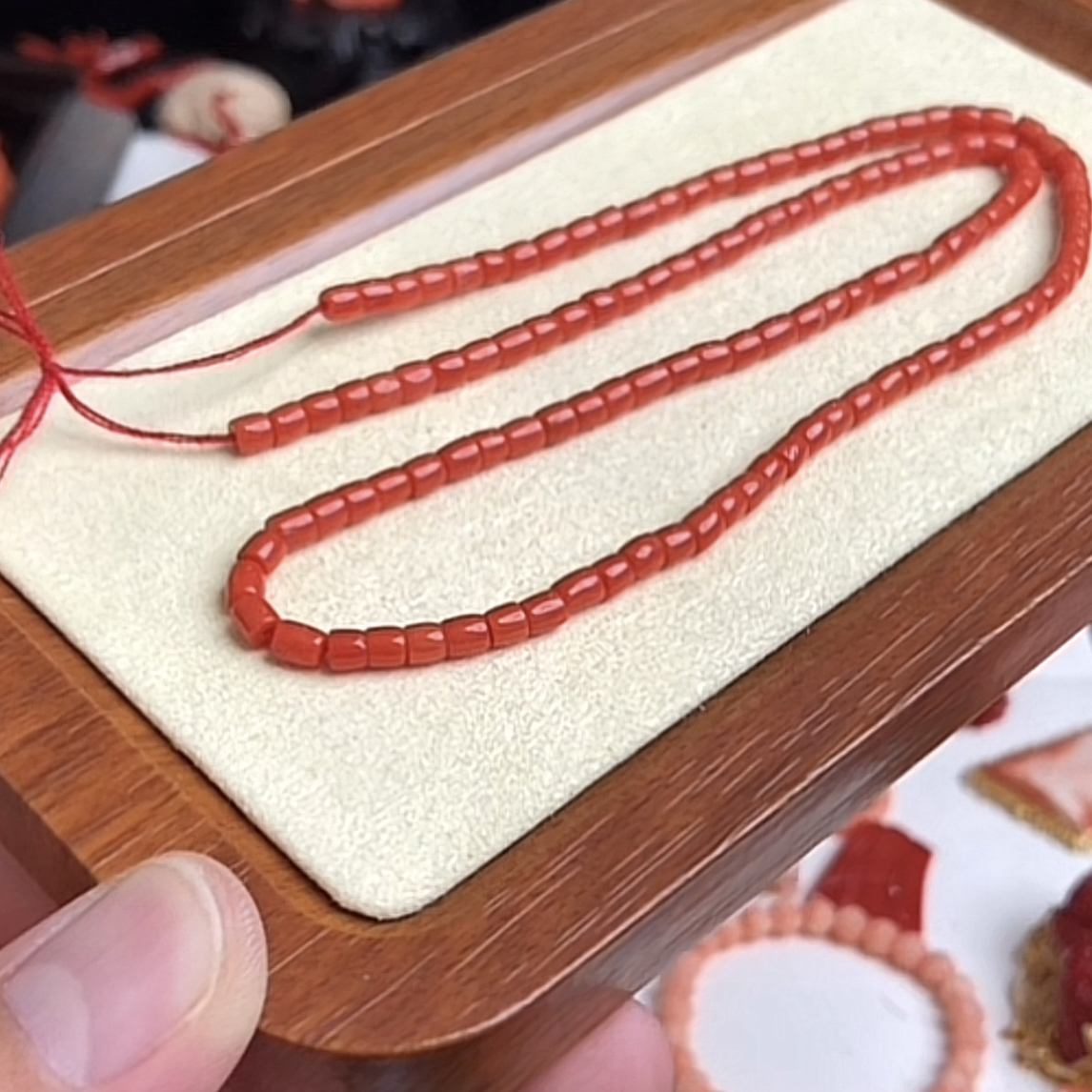 沙丁珊瑚长链一条