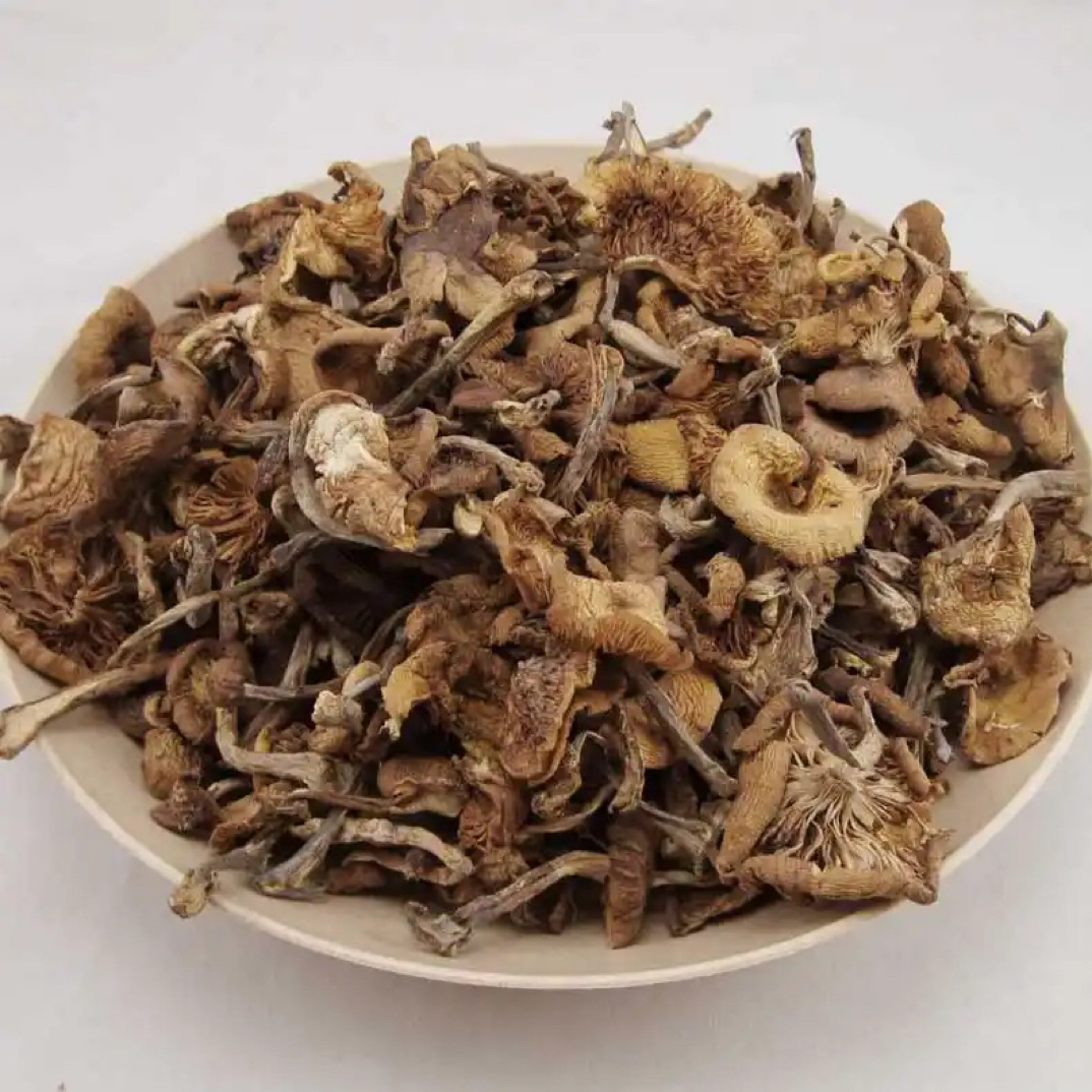 承德野生干榛蘑新货适合炖小鸡特产
