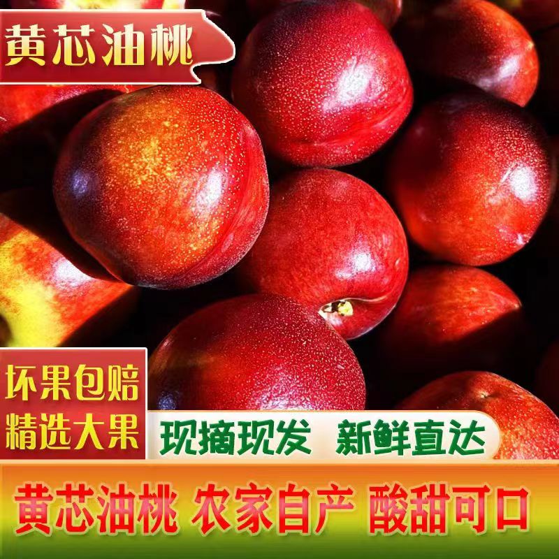 黑石汪中通极兔正宗麻脸黄心油桃新鲜采摘脆爽清甜汁水多孕妇水果