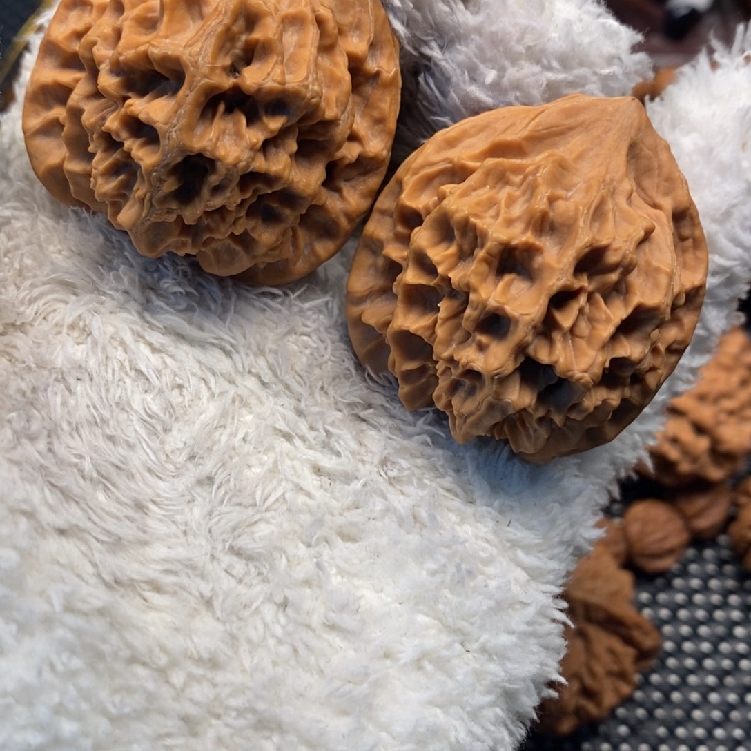 奋***焱秦岭山地核桃龙鳞官帽