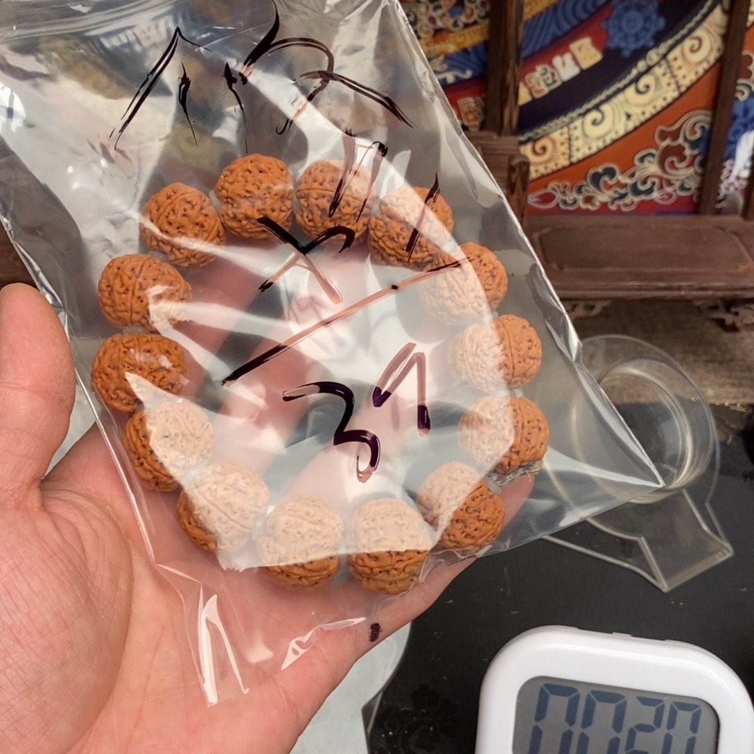 金刚菩提吊坠小**哥39啊啊啊啊啊啊