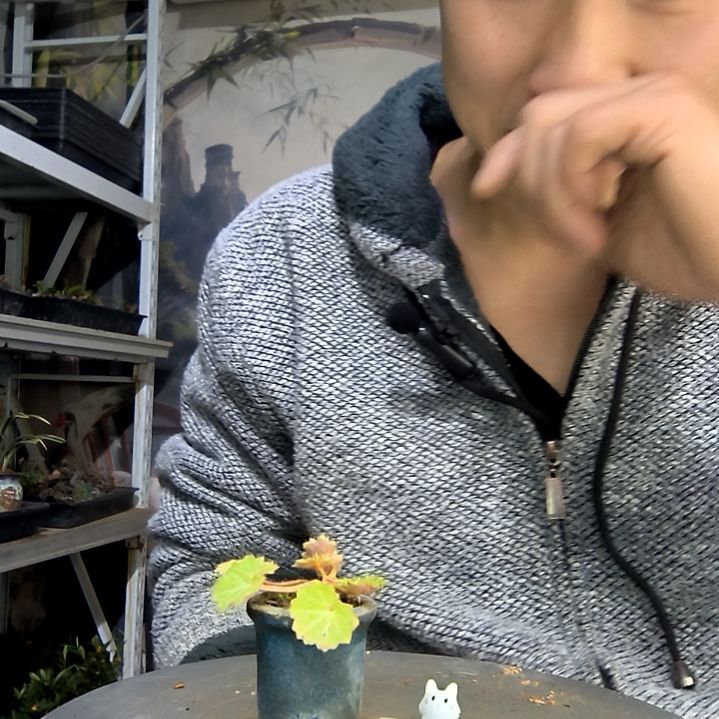 J***e中青园艺一物一拍花55