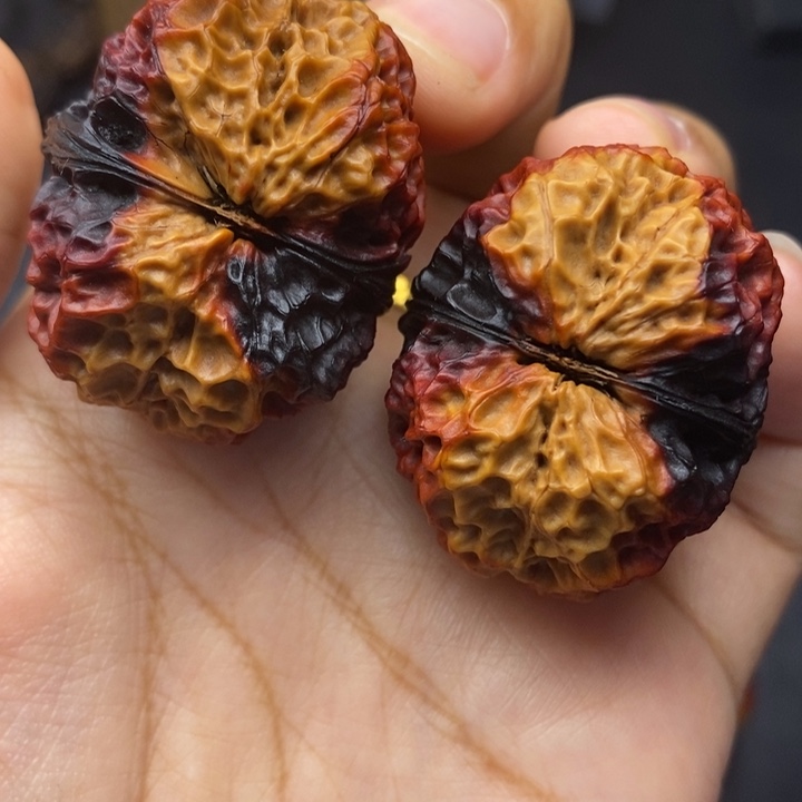 把件文玩核桃38尺铁绣球