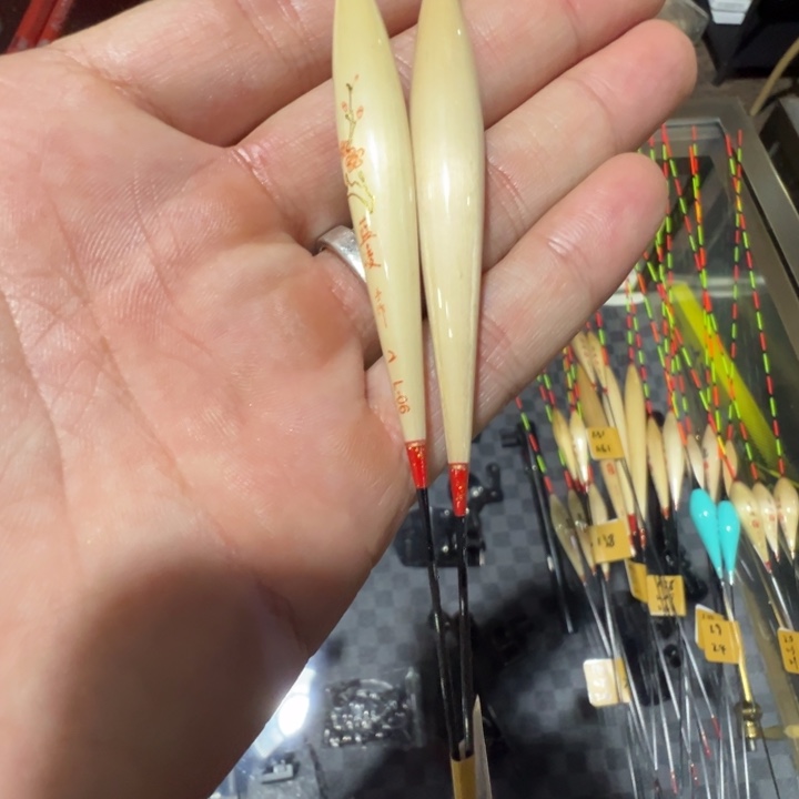 付大厨蓝凌l06的2.3号各一只，50长鲫鱼，二手