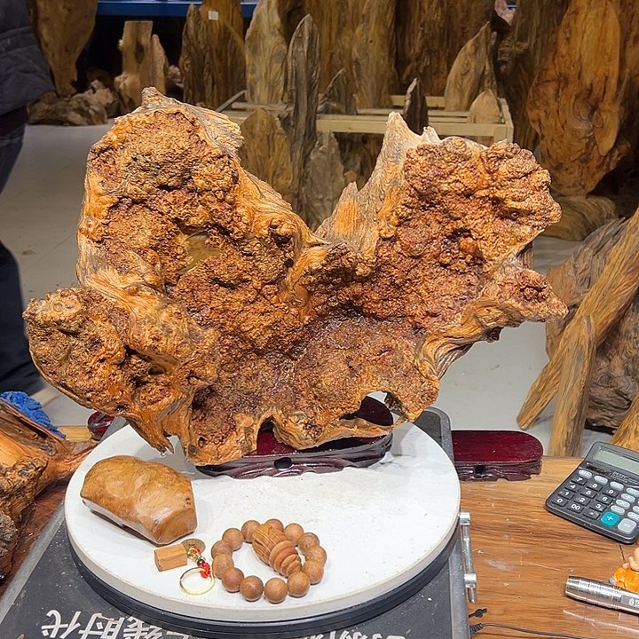 松木（琥珀木）大*