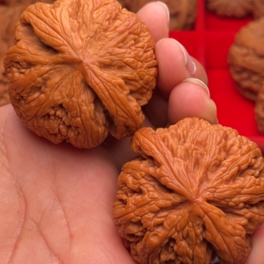 文玩核桃把件秦岭山脉核桃