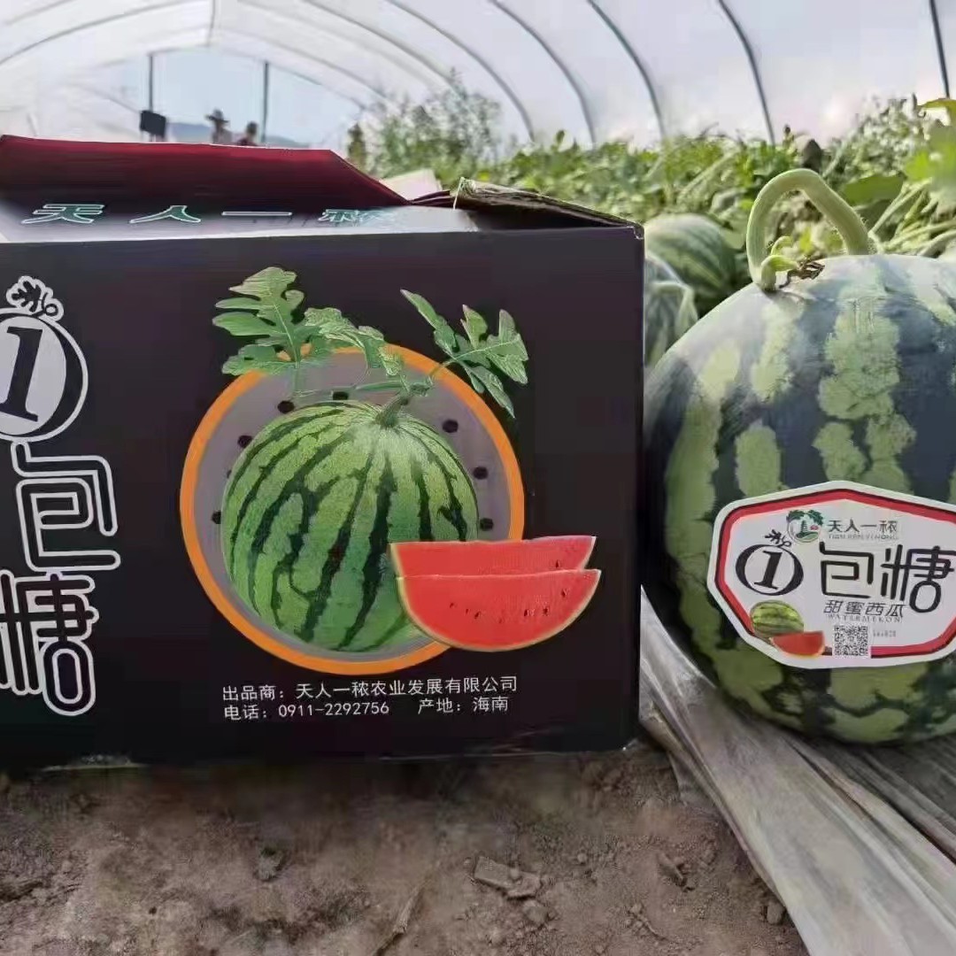 一包糖西瓜15斤左右一物一拍西瓜同城配宁夏回族自治区