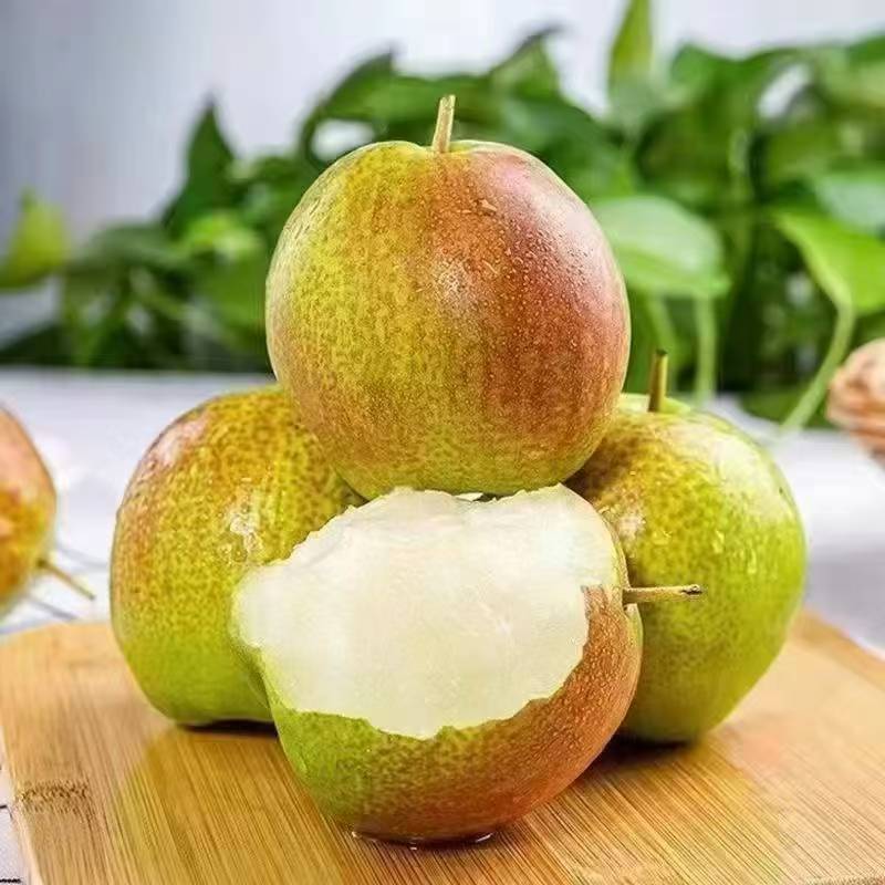 【京东】正宗陕西延安黄陵翡翠梨皮薄肉厚无渣水分大