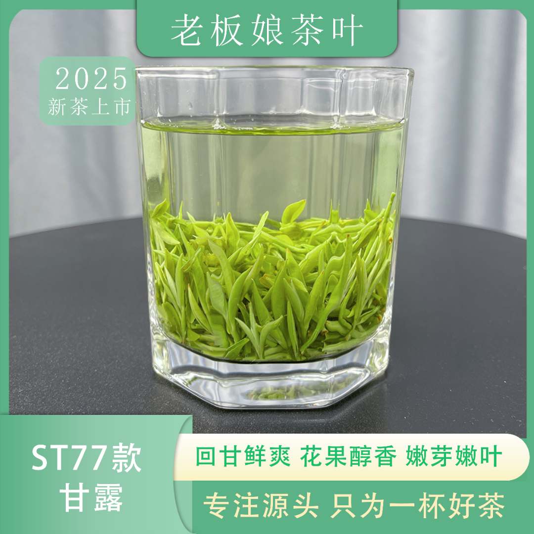 2025年新茶蒙顶山头采嫩芽甘露绿茶  st77花果醇香回甘鲜爽碧螺春