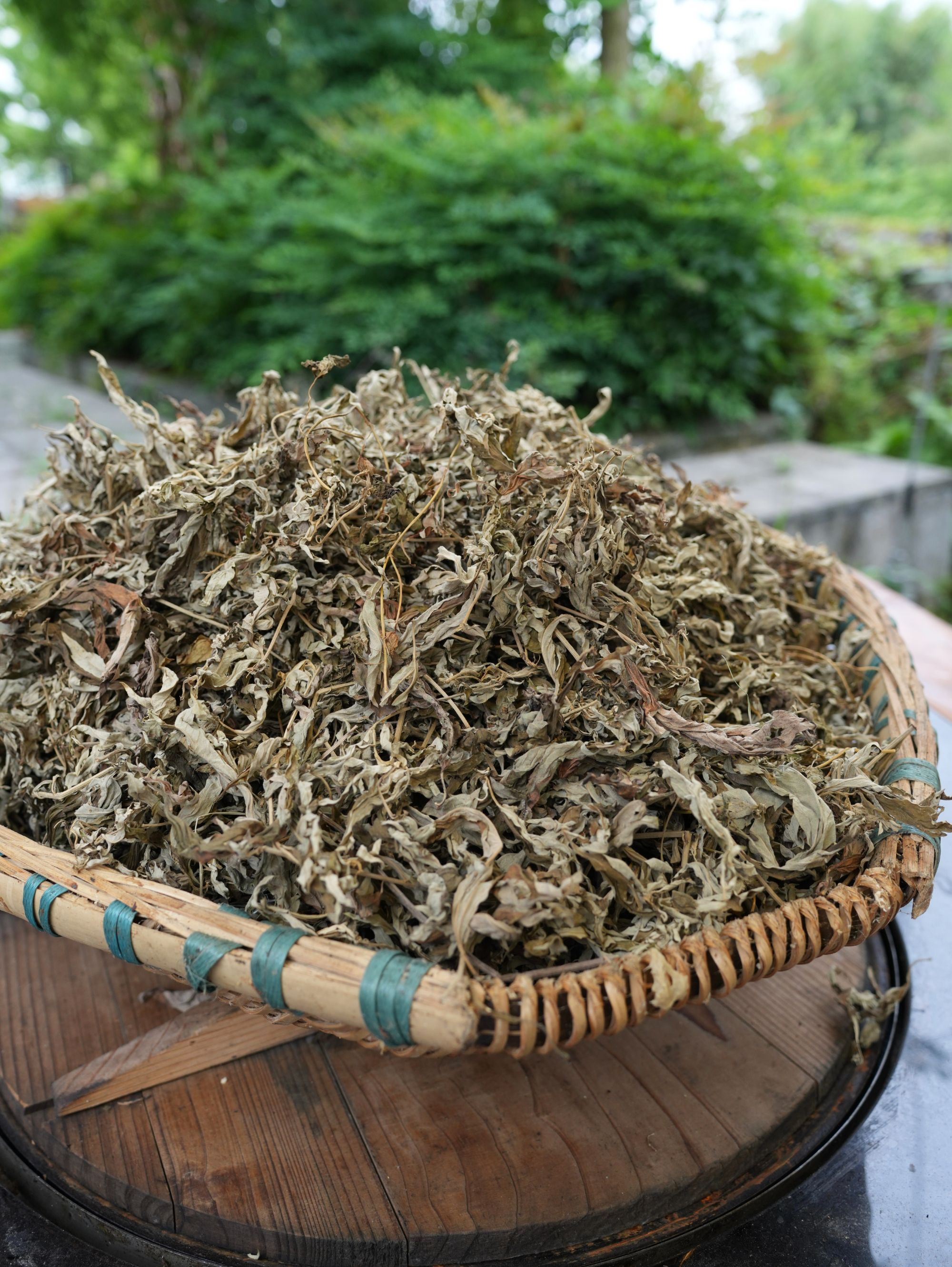 【三老表专属】贵州高原野生艾草陈艾泡脚泡澡