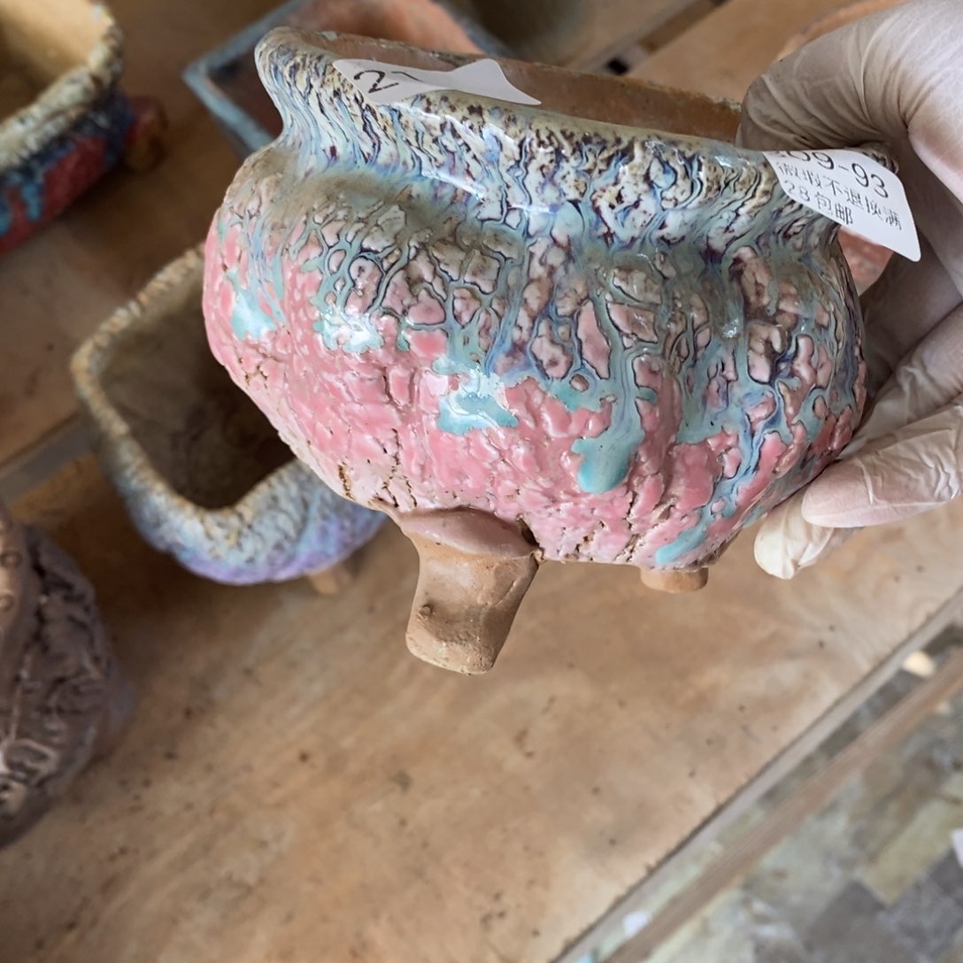 红陶陈****t93号多肉盆一个呀