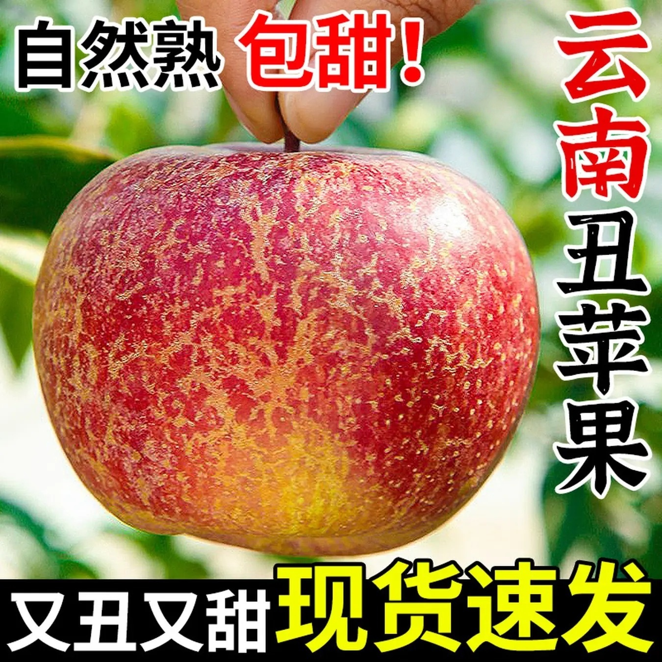 云南昭通丑苹果华硕苹果脆甜多汁新鲜采摘营养丰富包邮到家