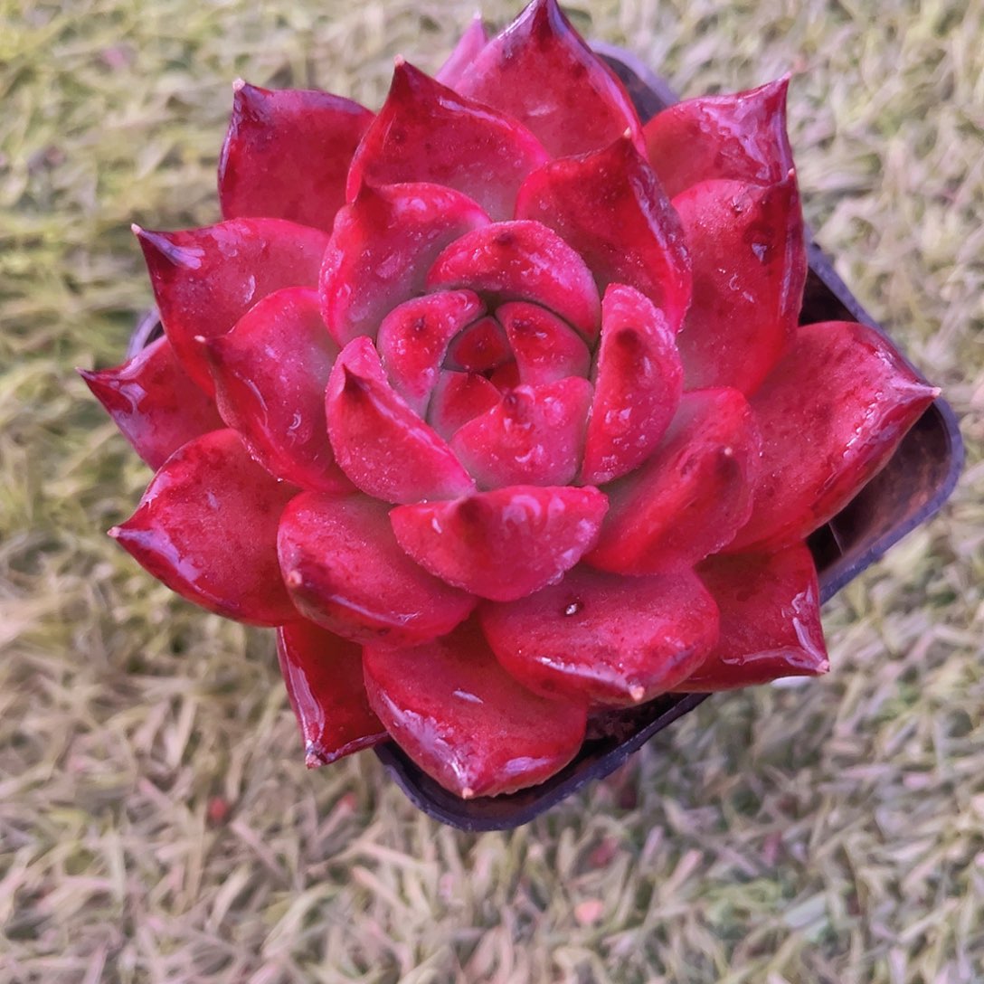 8公分98888888899999