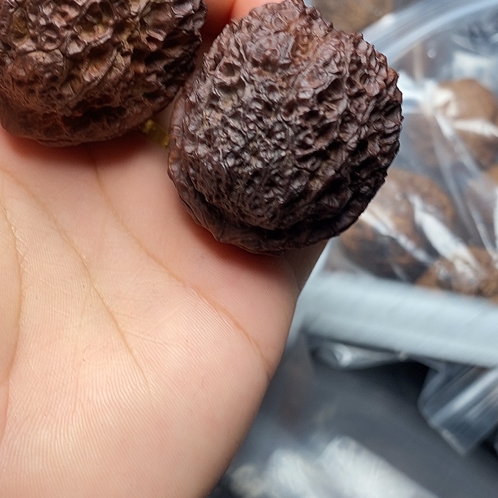 文玩核桃把件      9