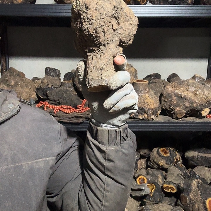 夏***雨香榧木火琉璃的故事是一