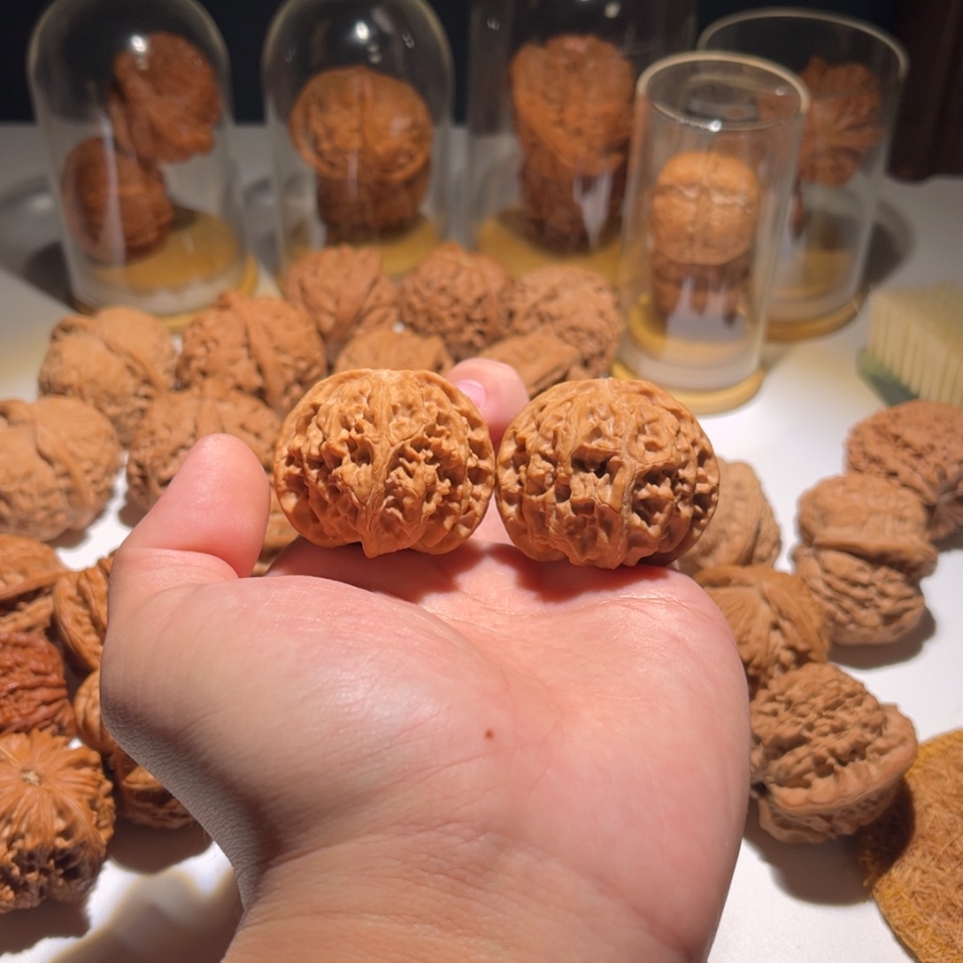 41全品苹果园核桃核桃