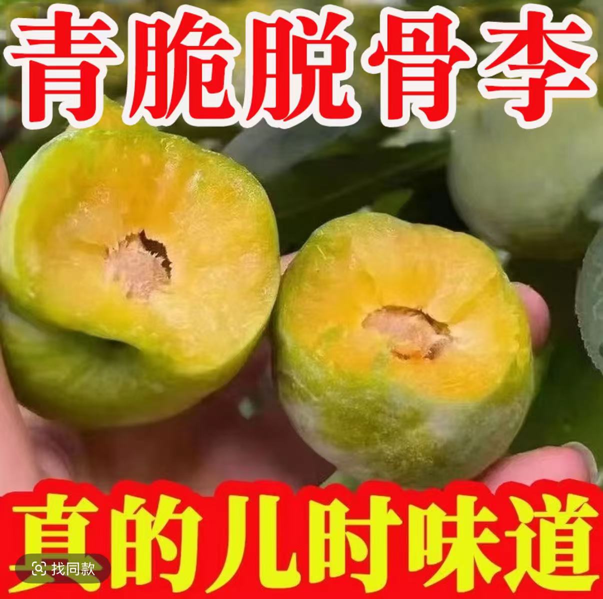 BBQ正宗农家脱骨青脆李脆甜多汁新鲜水果现摘现发