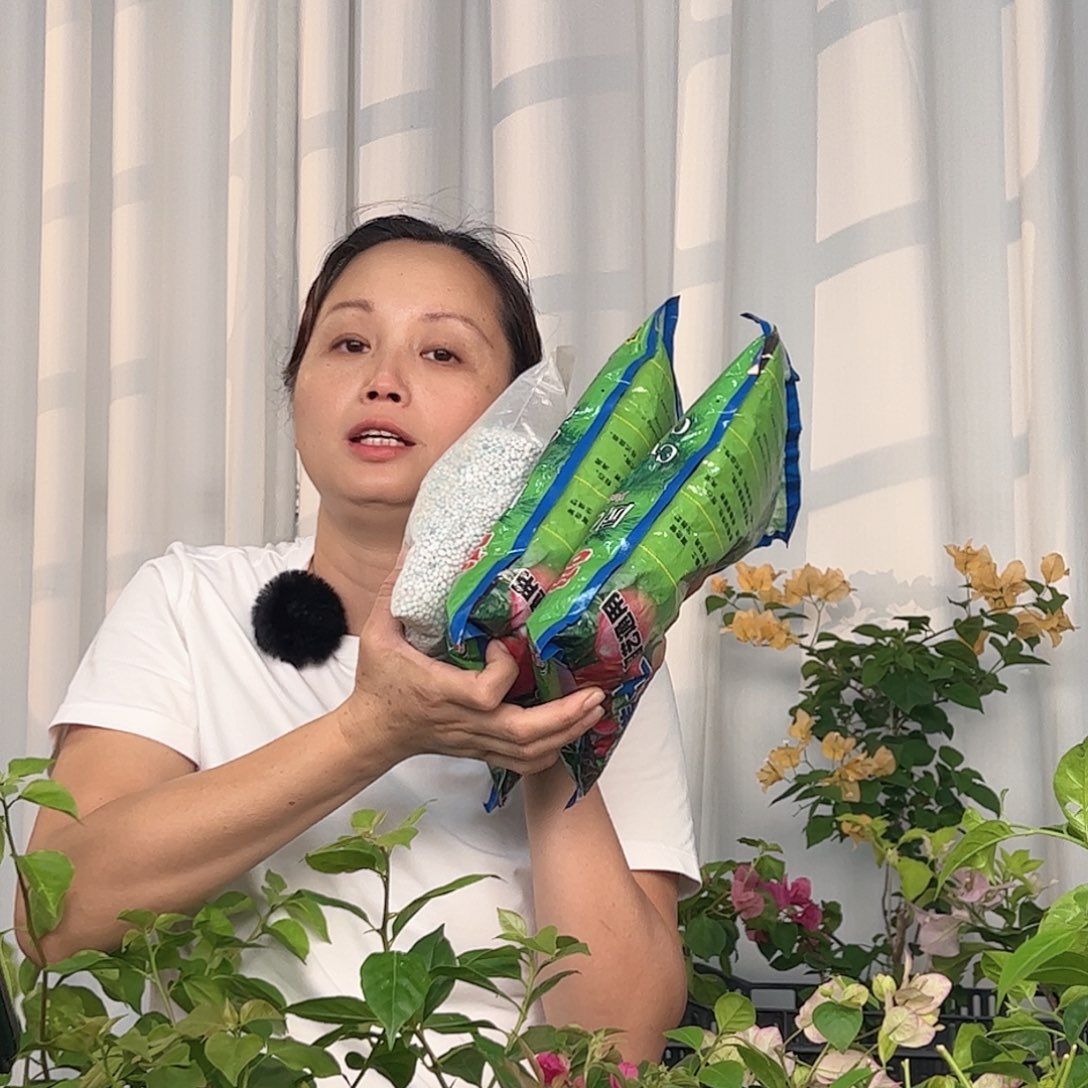 大部分开放少量花苞土2包，专用肥2斤