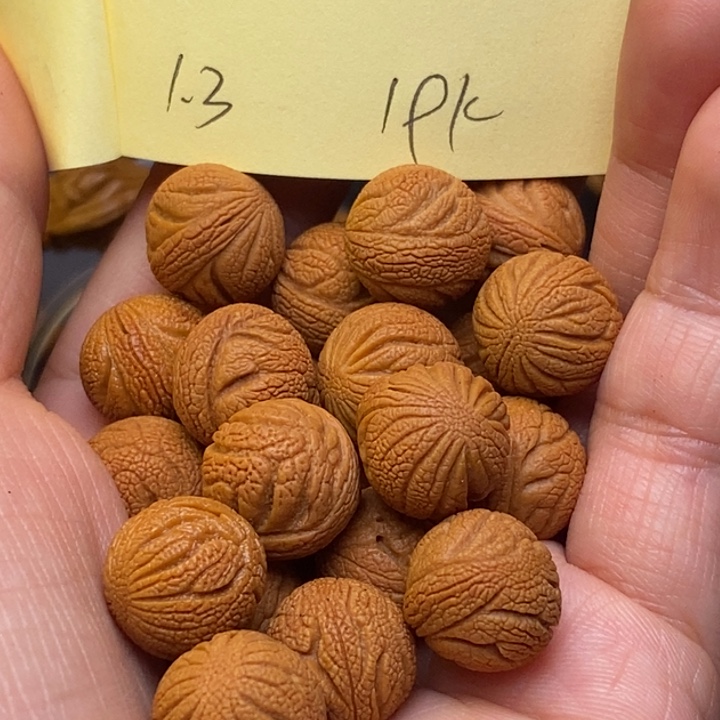 桃核吊坠秦岭龙纹桃核13