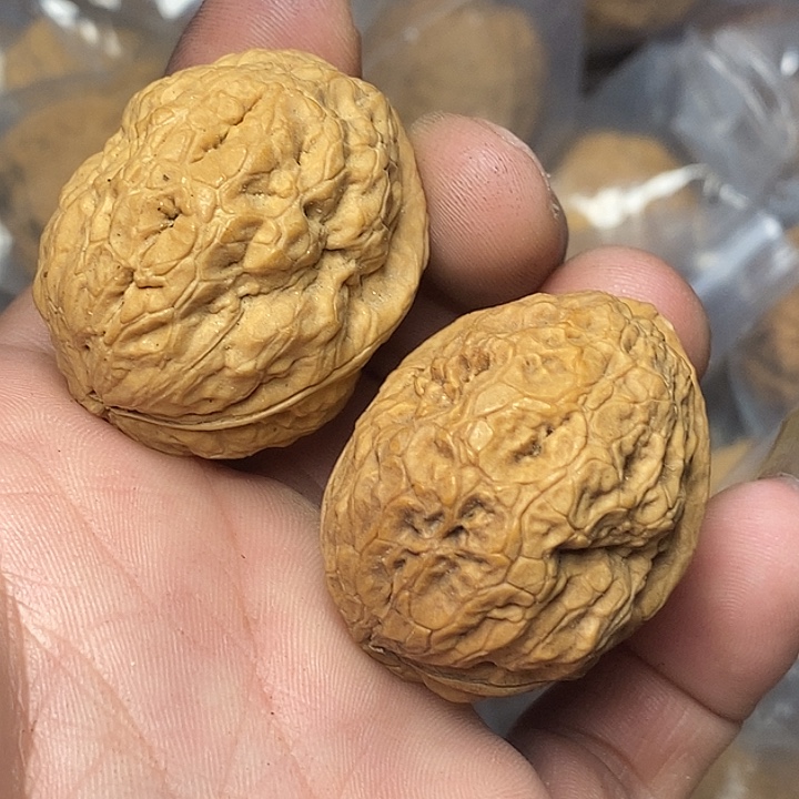 把件文玩核桃志成云铁文玩99