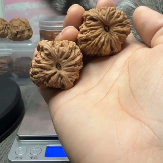 文玩核桃吊坠一**北核桃