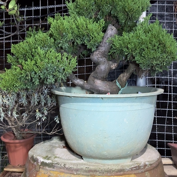 乐***民无花朵哈哈哈哈拉