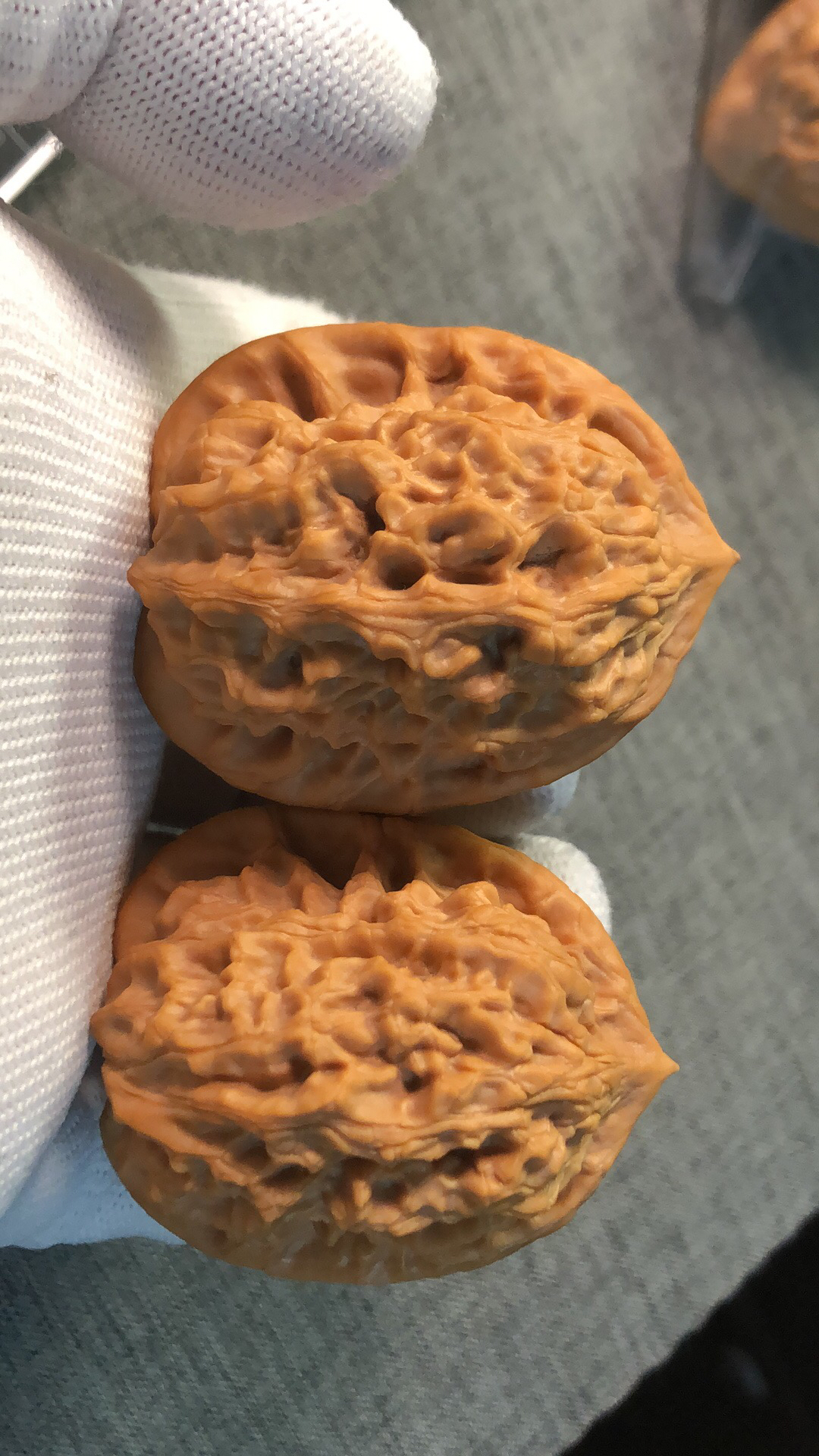 丹东老树官帽核桃