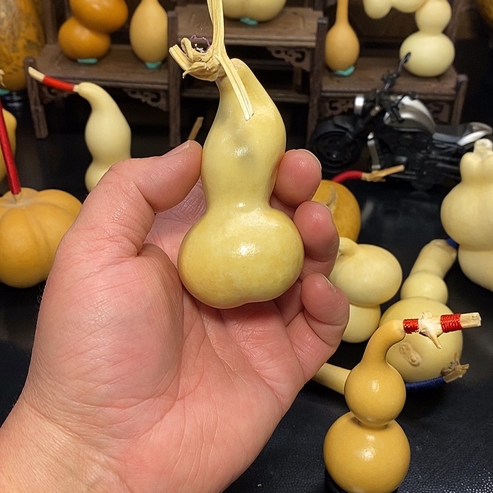 S***R精品葫芦手把葫芦8