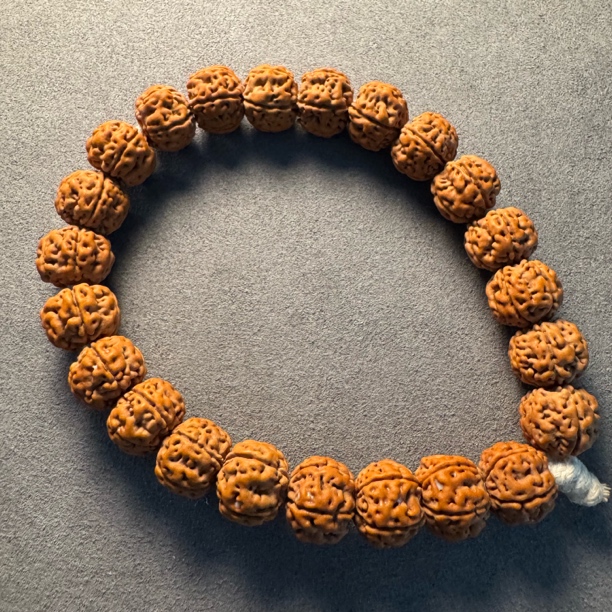 福利款紫皮老树王大尺寸单圈小金刚菩提手串
