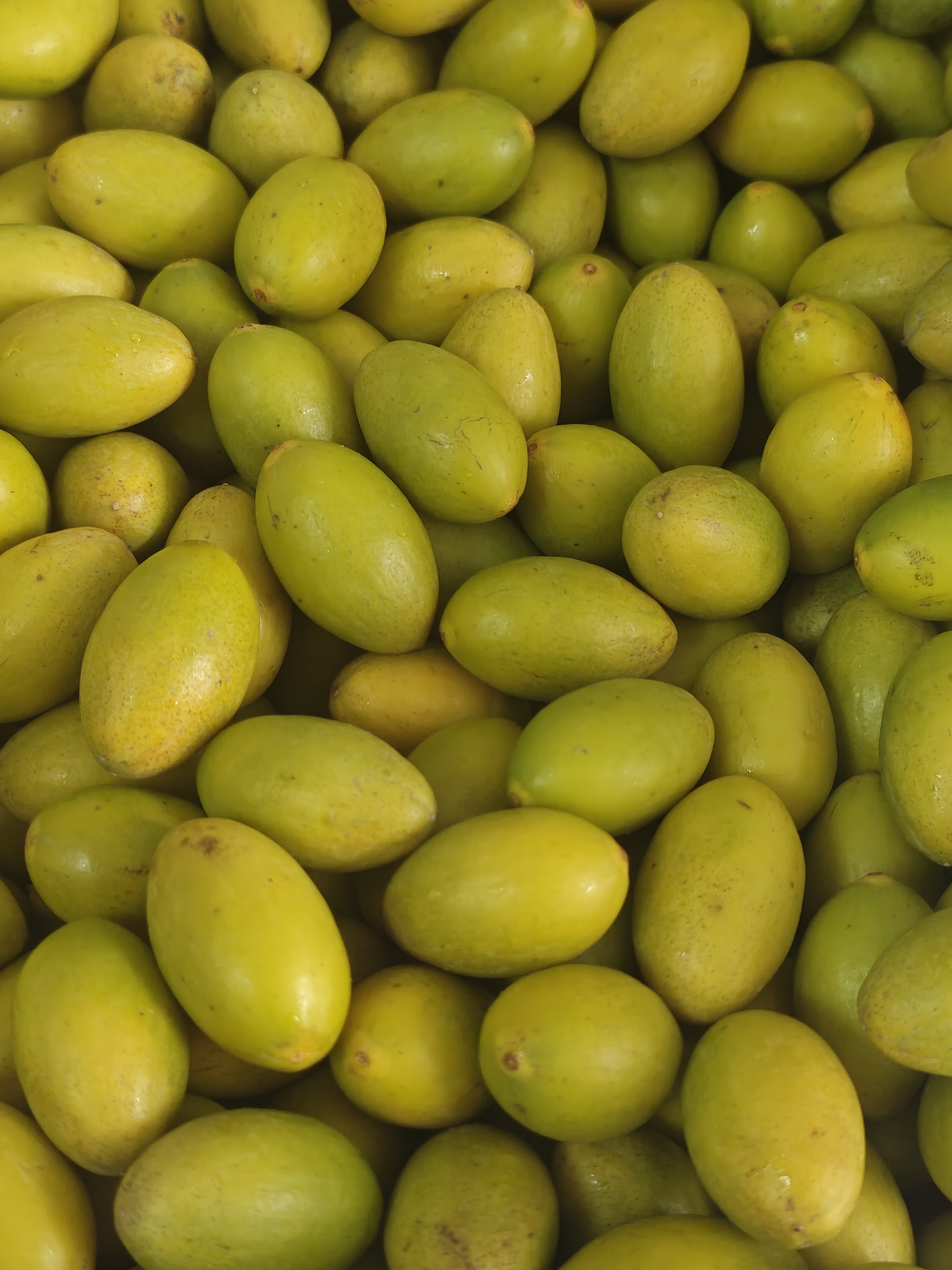 灵峰橄榄，酥脆无渣