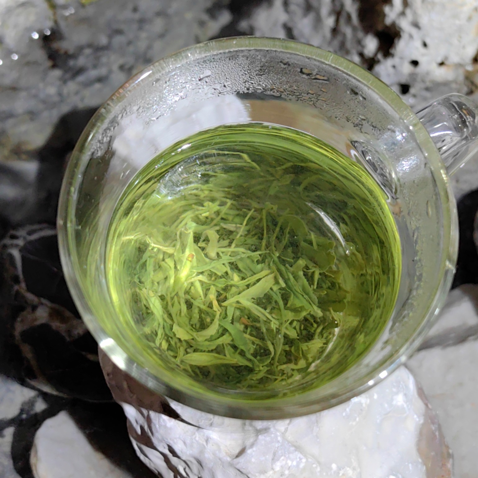 高山绿茶春茶浓香耐泡云雾茶叶炒制鲜嫩口粮茶