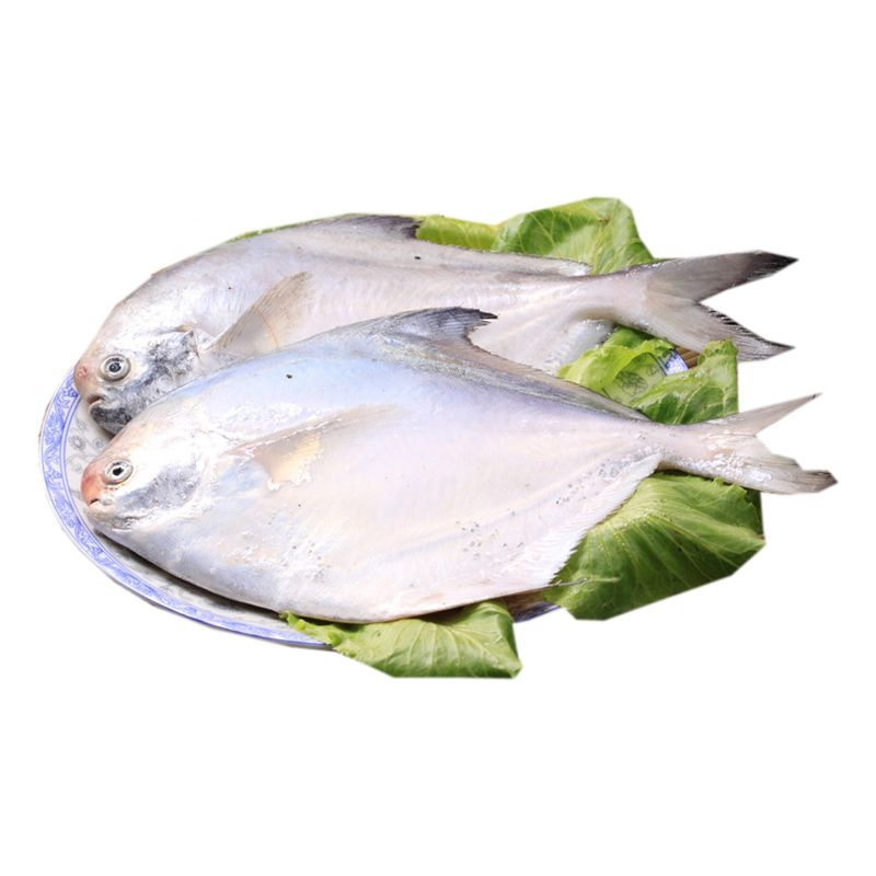 平鱼（银鲳鱼）1000g /份