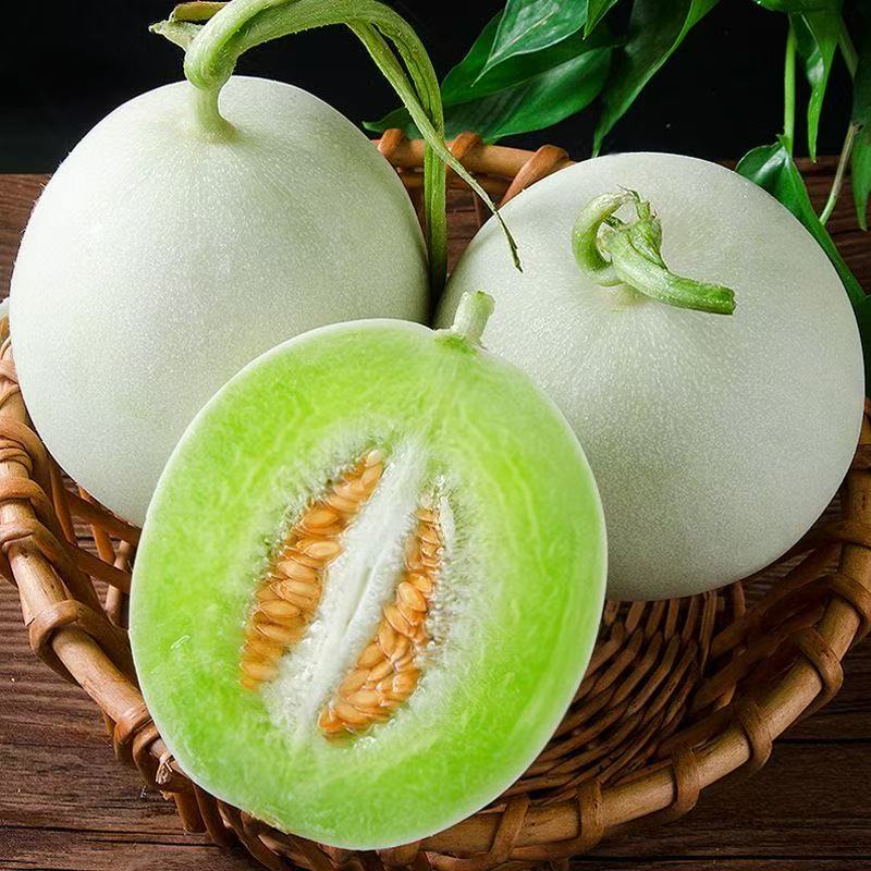 2颗【玉菇甜瓜】放软再吃 冰激凌奶香蜜哈密瓜软糯香甜 净果5斤左右新鲜吉林省