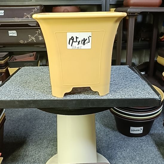 10只19.5cm中号束腰盆