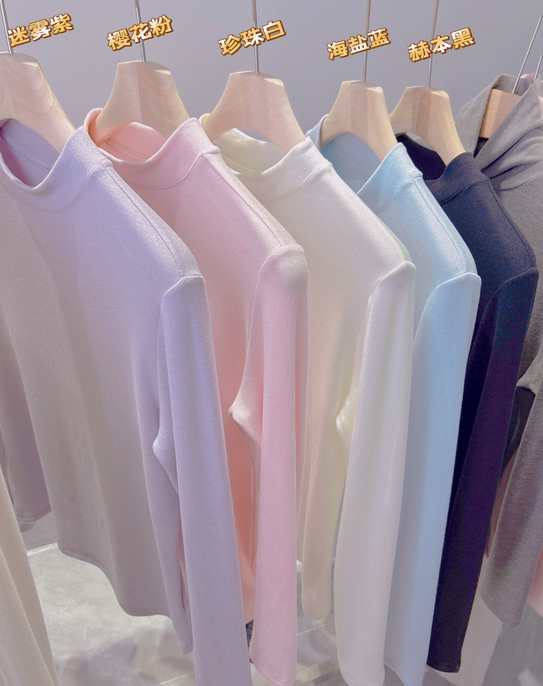 2025XY韩系秋冬简约加绒设计感洋气保暖长袖女秋冬新款修身内搭