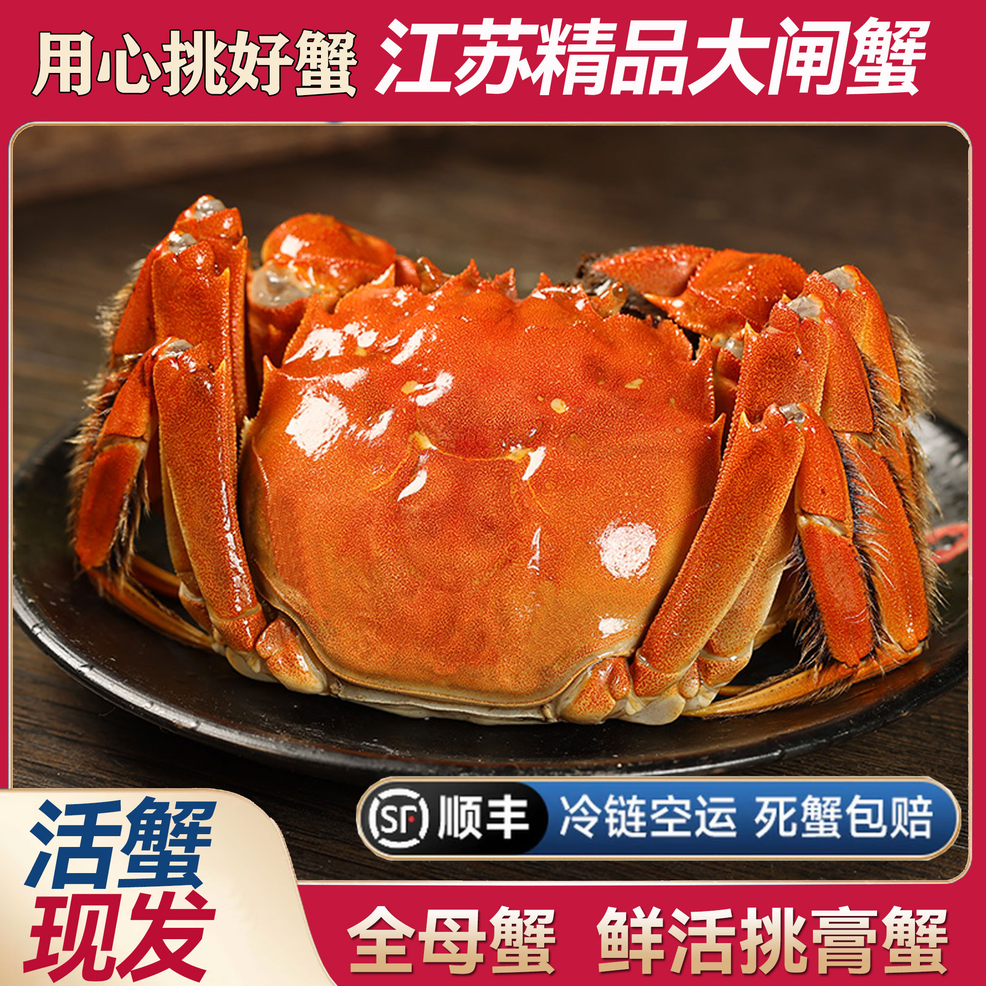 【江苏活蟹】全母大闸蟹 精挑蟹3.8-3.5两 6/8/10只礼盒装顺丰包邮