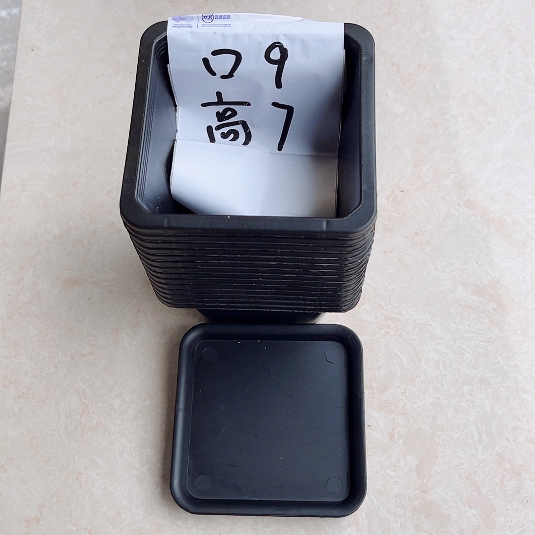 塑料福利款9方黑色盆30个带托盘